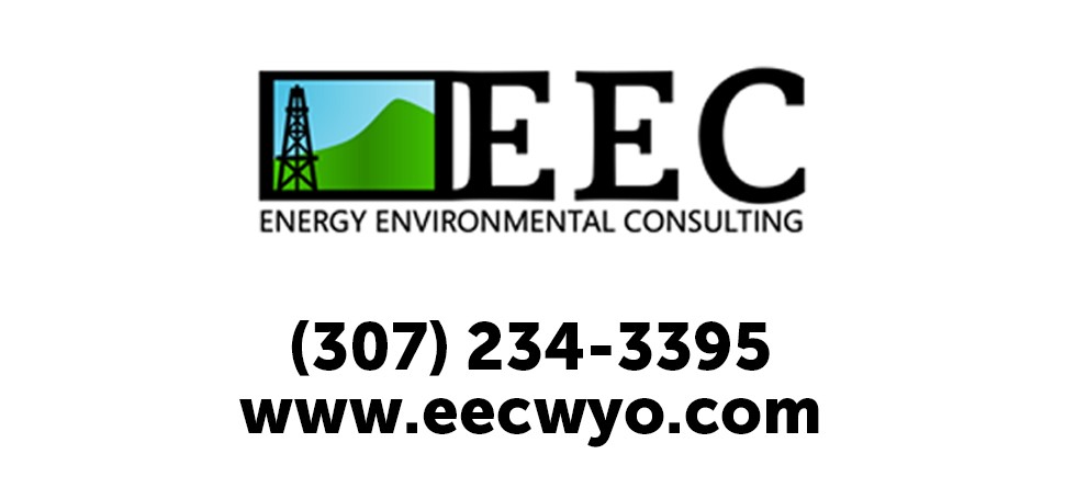Energy Environmental Consulting, Inc